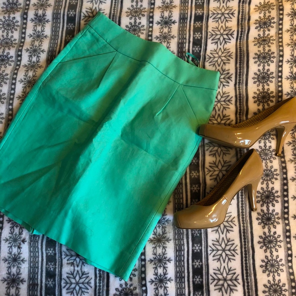 ‘The Pencil Skirt” by J Crew